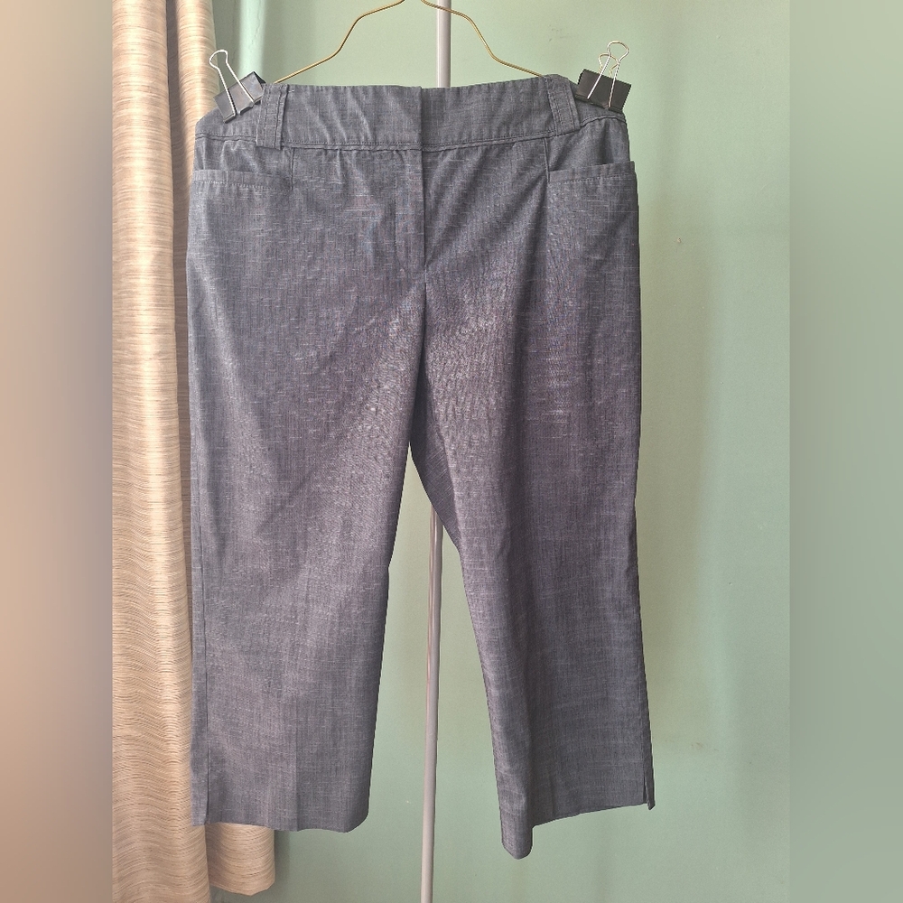 Apt. 9 Women’s Modern Cropped Dress Pants. Sz 12